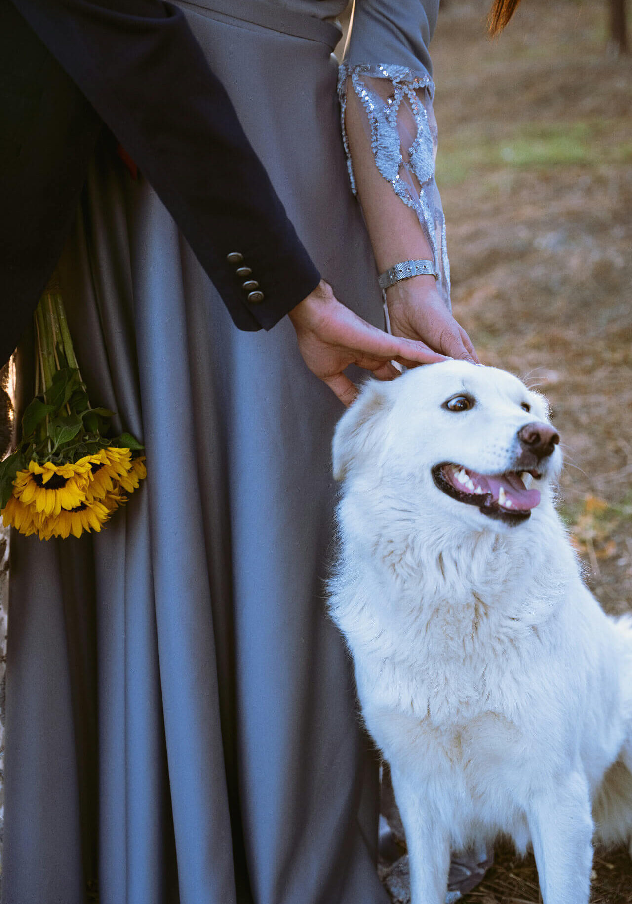 mahdi-bafande-EAomh409EZ0-unsplash